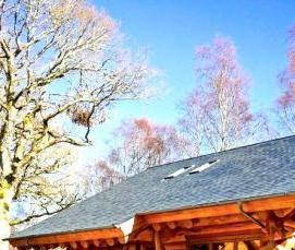 сруб беседки из бревна - модель 4