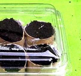 стаканчики для рассады от производителя Брянск