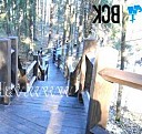 сваи для террасы Смоленск