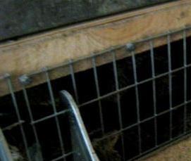 сварная сетка от мышей - тип 2