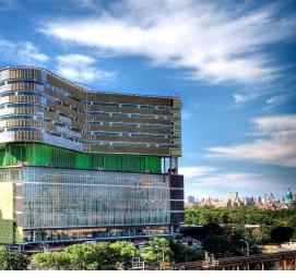 тарельчатый винтовой полимерный дюбель - тип 1