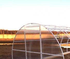 темная теплица - вариант 4