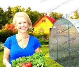 теплица антишторм - вариант 4