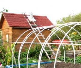 теплица арочного типа удачная - вариант 1