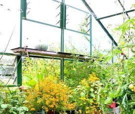 теплица дачная - тип 1