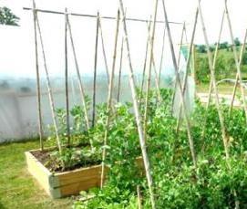 теплица дачная - тип 4