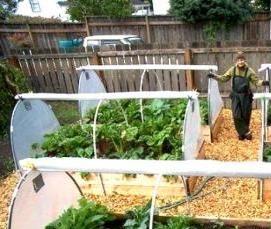 теплица дачная - тип 2