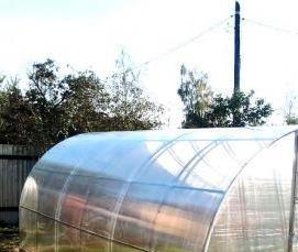 теплица киновская люкс - тип 1