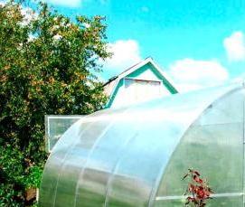 теплица киновская люкс - тип 4