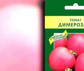 теплица кремлевская цинк - тип 1