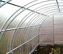 теплица сибирская улучшенная Новокуйбышевск
