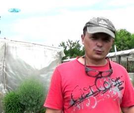 теплица кузбасская надежная - вариант 4