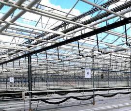 теплица разделенная - модель 4