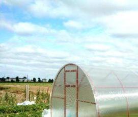 теплица советская усиленная - вариант 4