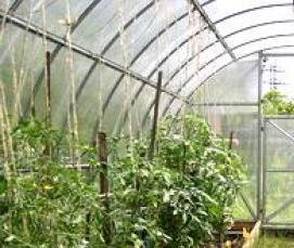 теплицы защищенного грунта - вариант 3