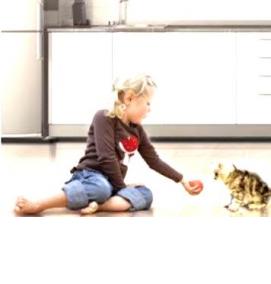 теплый пол под ПВХ - вариант 2