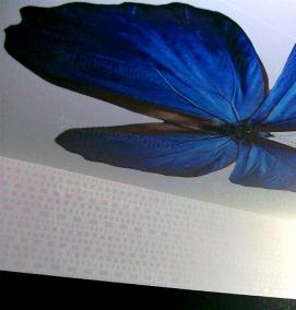 тканевые натяжные потолки с фотопечатью - модель 3