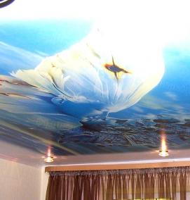 тканевые натяжные потолки с фотопечатью - модель 2