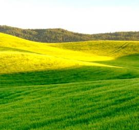 топографическая съемка тахеометром - модель 3