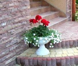 тротуарная плитка для крыльца - тип 3