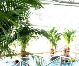 турчанские теплицы - тип 3