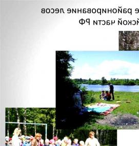 туристско-рекреационное проектирование - тип 3