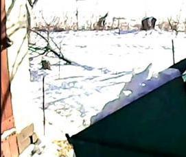 уборка снега ковшом - тип 2