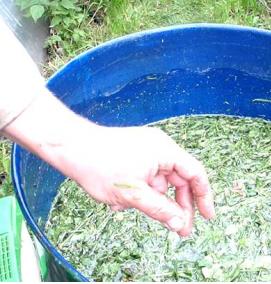 удобрения для саженцев - модель 4