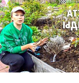 удобрения для саженцев - модель 3