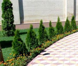 укладка тротуарной плитки на пескобетон - модель 1