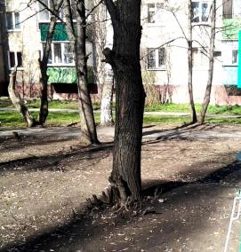 урна для собачьих экскрементов - вариант 2
