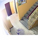 урна ведро для мусора с педалью Рязань