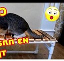 утепление щитового дома Майкоп