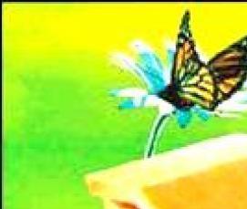 утеплитель минераловатные плиты - тип 3