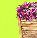 Пластмассовые уличные вазоны Волгодонск