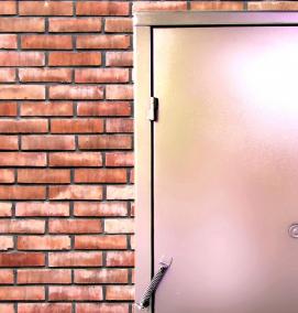 Входная подъездная дверь - тип 4