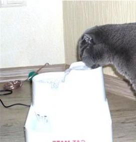 Водный фонтан для кошек - тип 2