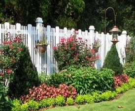 Для клумбы - вариант 4