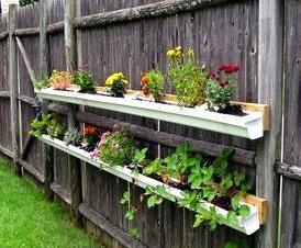 Для клумбы - вариант 3