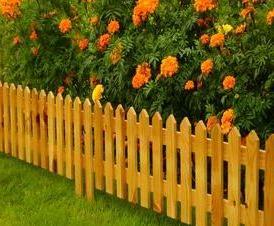 Для клумбы - вариант 2