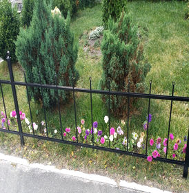 Для палисадника - вариант 1