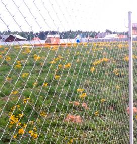 Забор из сетка рабица ЛЮКС