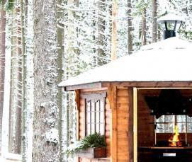 Зимние беседки с мангалом для дачи - модель 2