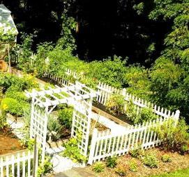 Иран және порно Эмо порно үлкен сиськи