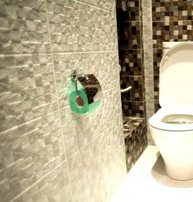 70+ идей отделки стен в туалете (фото)